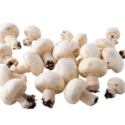 Шампиньоны свежие 500 г - купить в Лидже